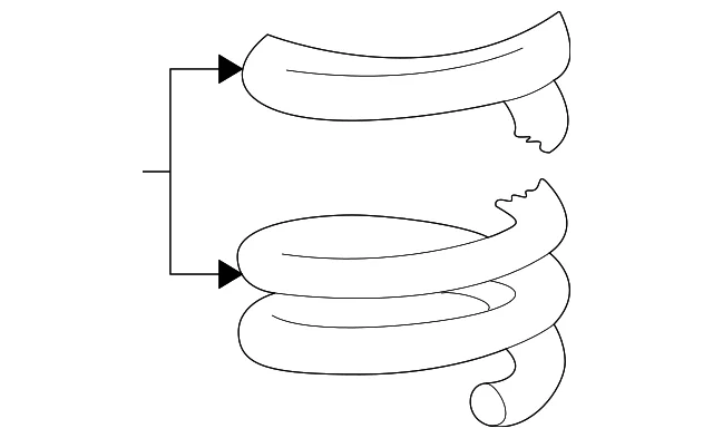 Coil Spring - Mazda (ZZPC-34-011A)