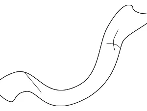 Oil Pan Gasket - Mazda (B6F4-10-428)