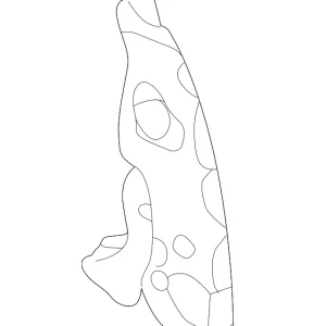 Side Panel - Mazda (B25R-70-113A)