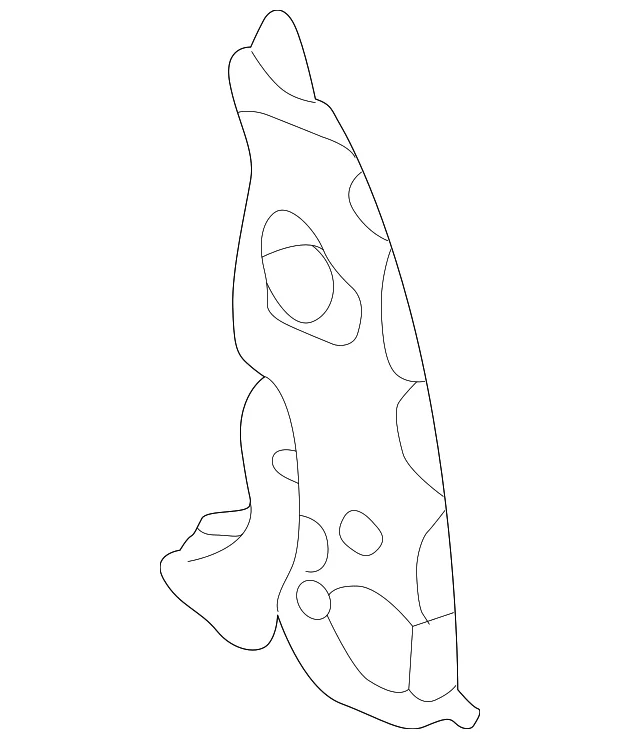 Side Panel - Mazda (B25R-71-113A)