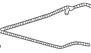 Tube - Mazda (1F22-13-942)