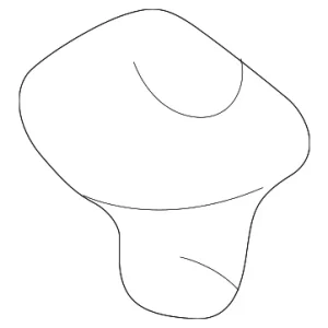 Panel Assembly Grommet - Mazda (F044-51-912)